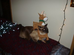 He's got a reindeer problem