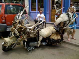 ta77XirPVqghceuxuHcvic7Fo1_500