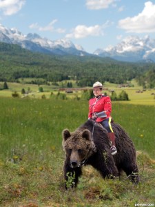 Took a while to rally the bears