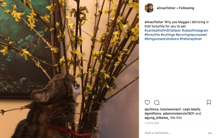 Screen Shot 2018-03-17 at 9.48.52 AM