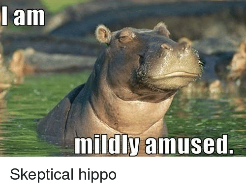 hippo